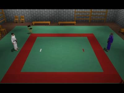 3D JUDO FIGHTING screenshot4