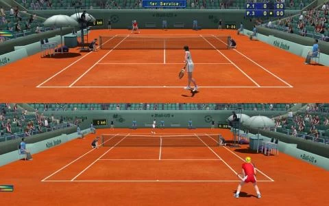 TENNIS ELBOW 2011 screenshot6